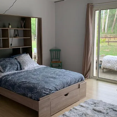 D'hotes Au Haras Des Fenucy Bed & Breakfast